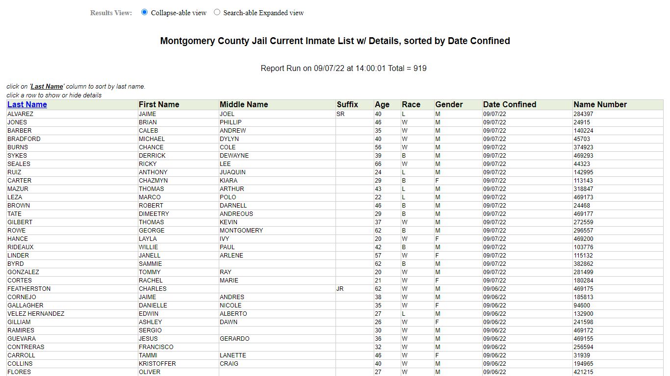 Jail Roster - Montgomery County, Texas